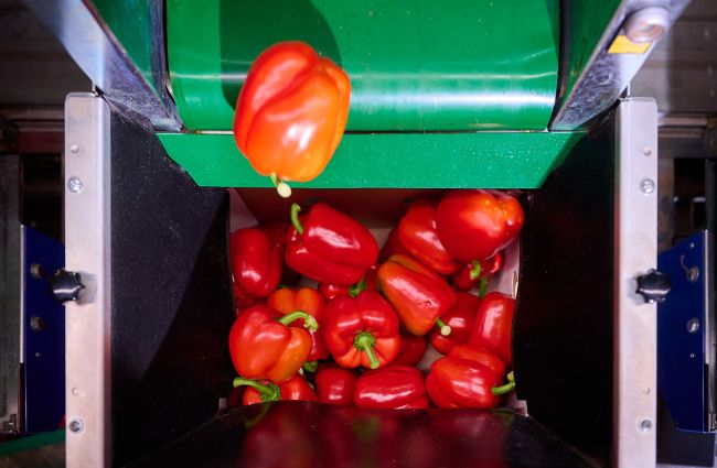 VieTech producten AutoCrate Filler belangrijkste features