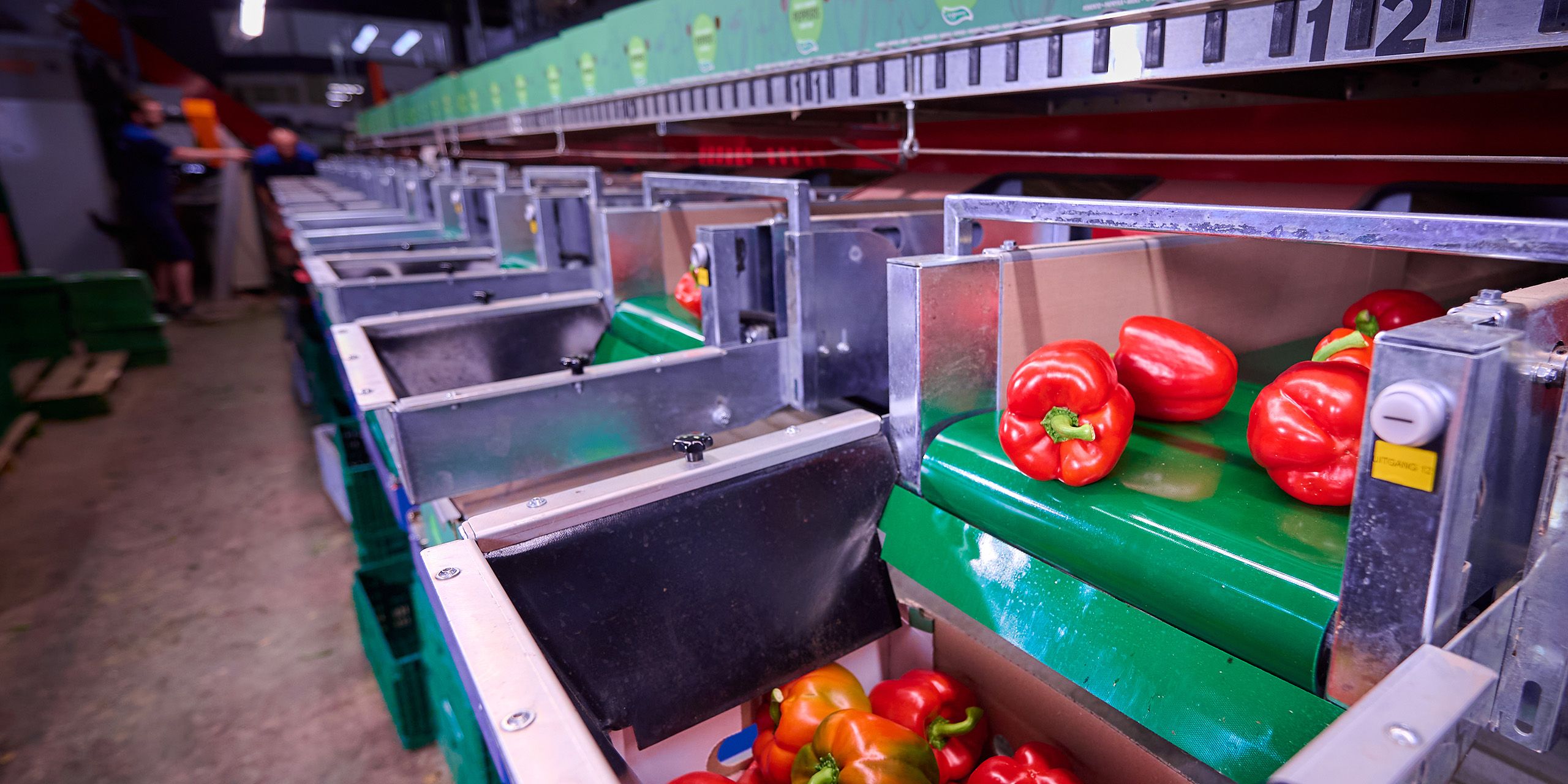 VieTech product video AutoCrate Filler