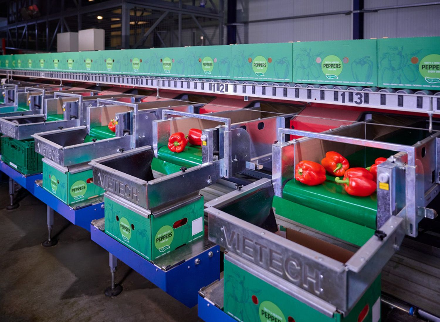 VieTech timeline 2026 duurzame oplossingen