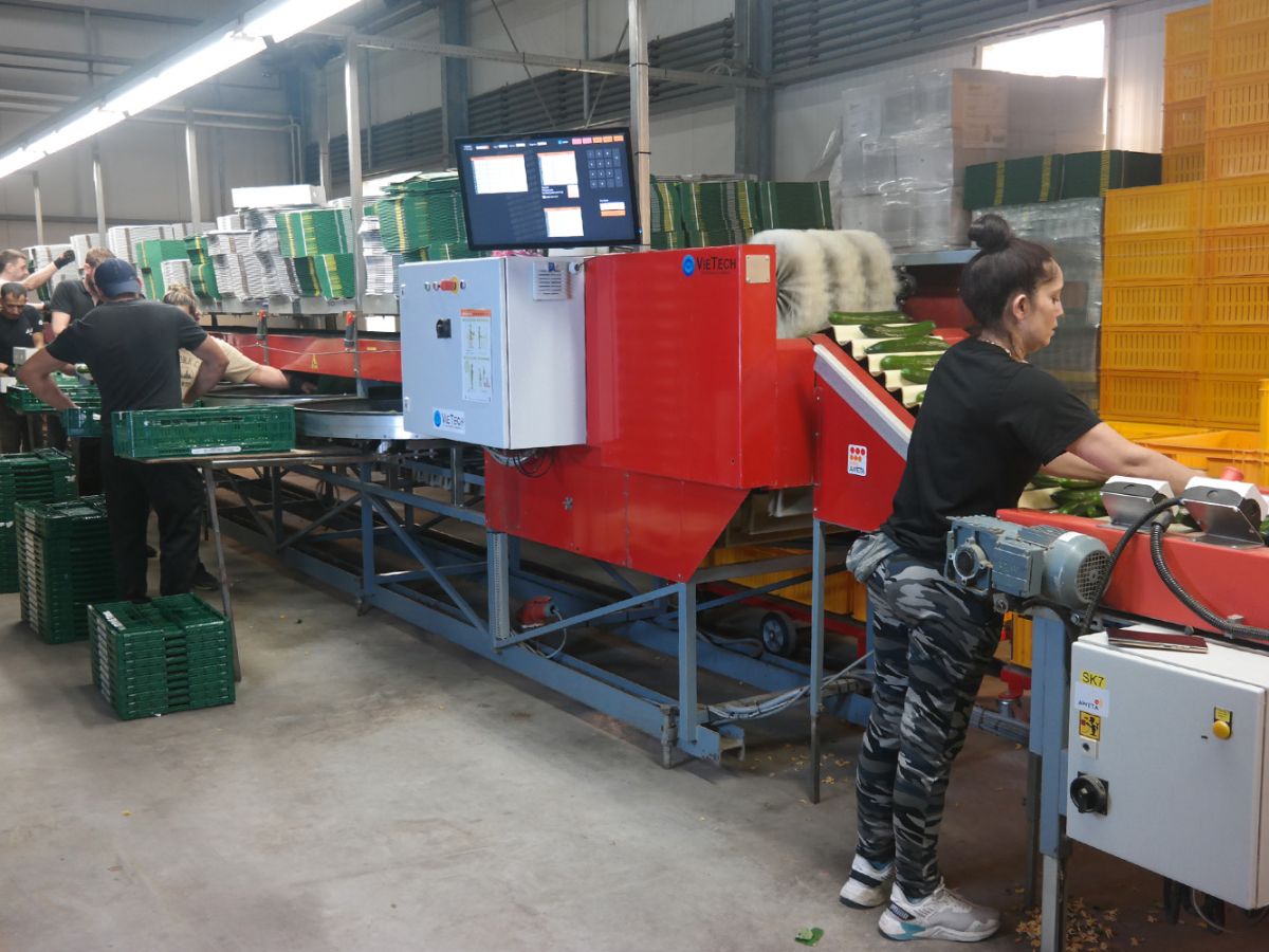 VieTech product Aweta GS upgrade veelgestelde vragen