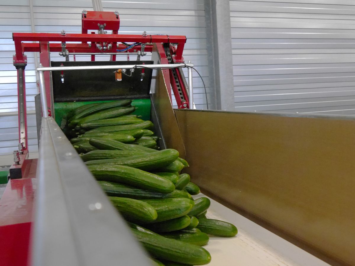 VieTech product Upgrade Logiqs Container opleveren