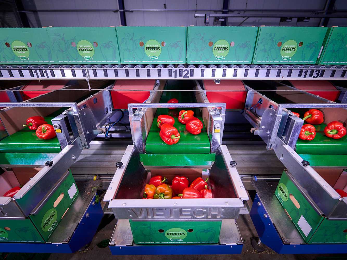 VieTech producten AutoCrate Filler belangrijkste features