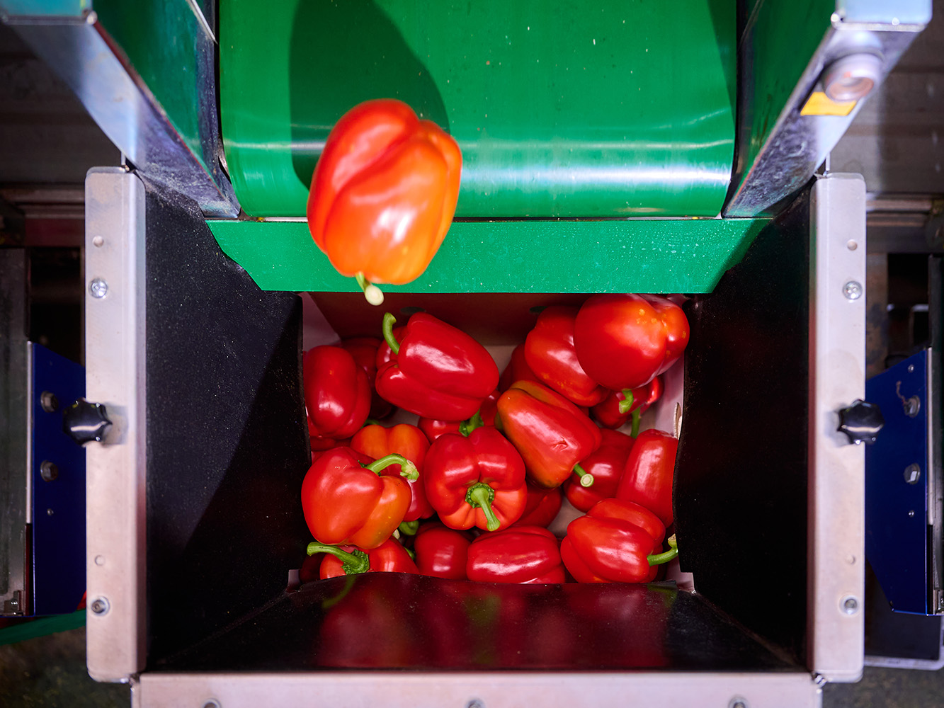 VieTech producten AutoCrate Filler belangrijkste features