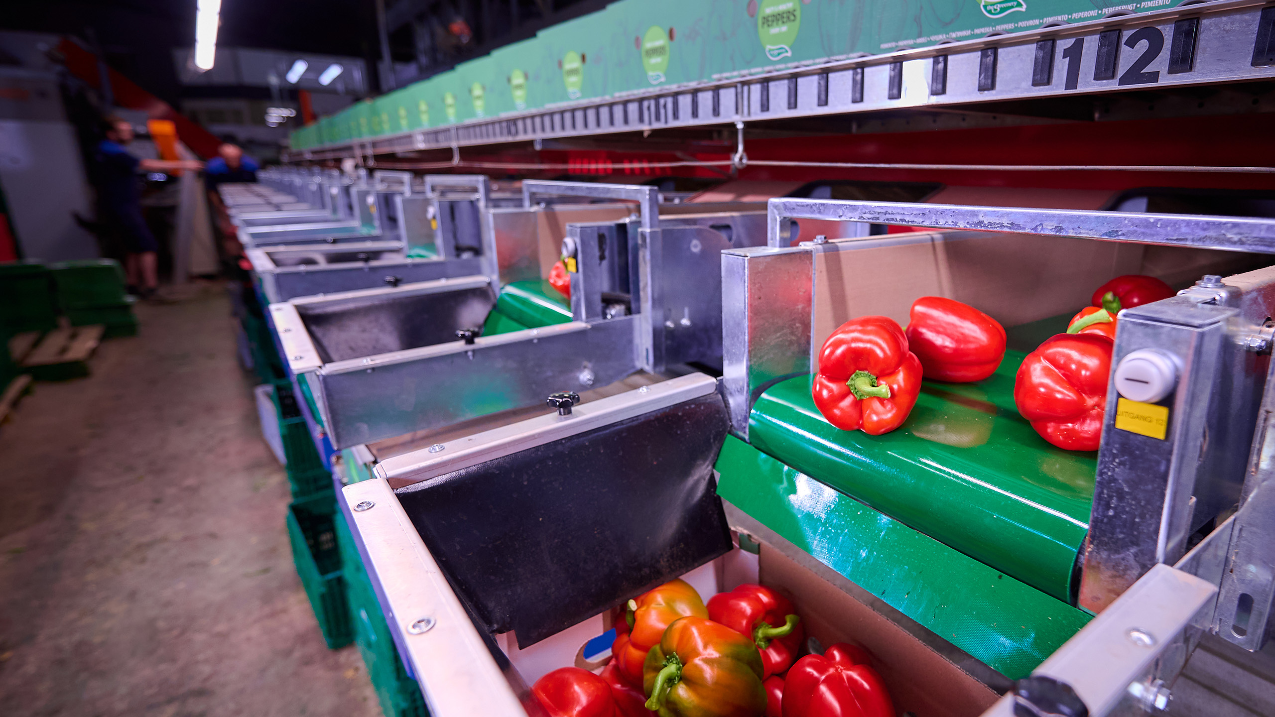 VieTech product video AutoCrate Filler