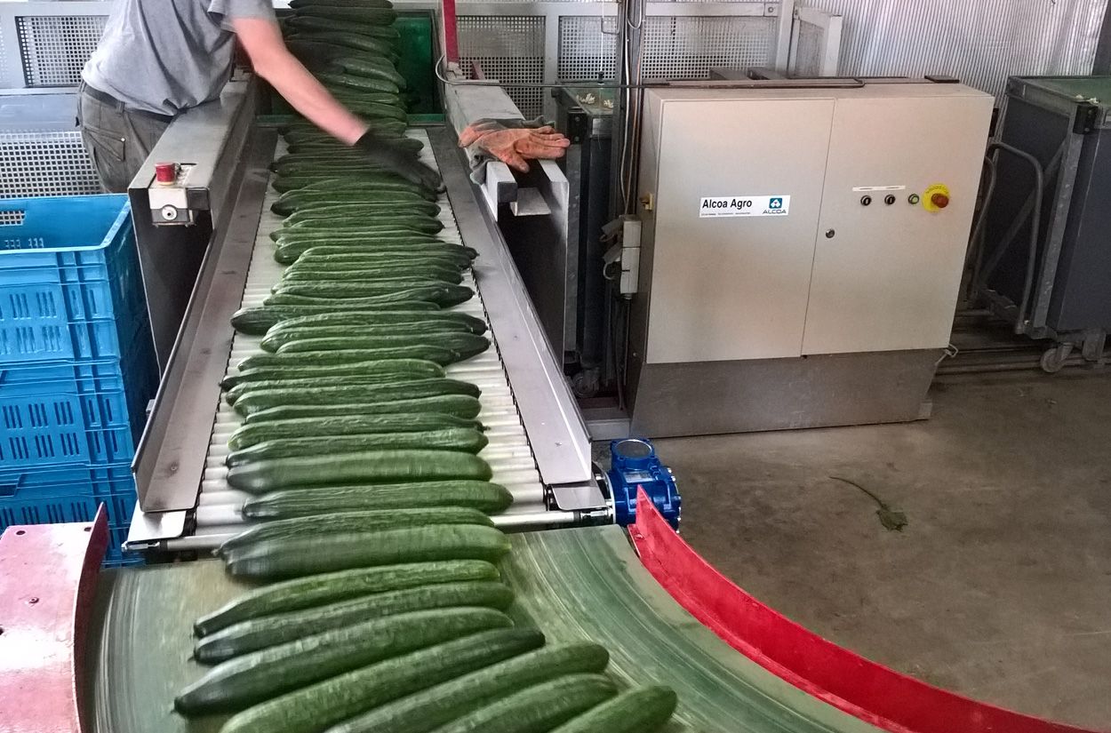 VieTech projecten Peppers Unlimited overview