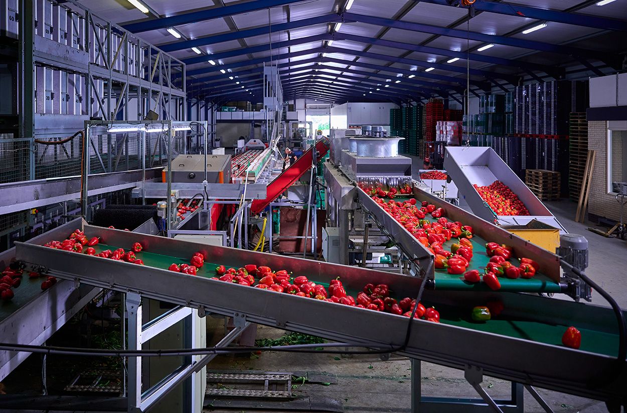 VieTech projecten Growers United overview